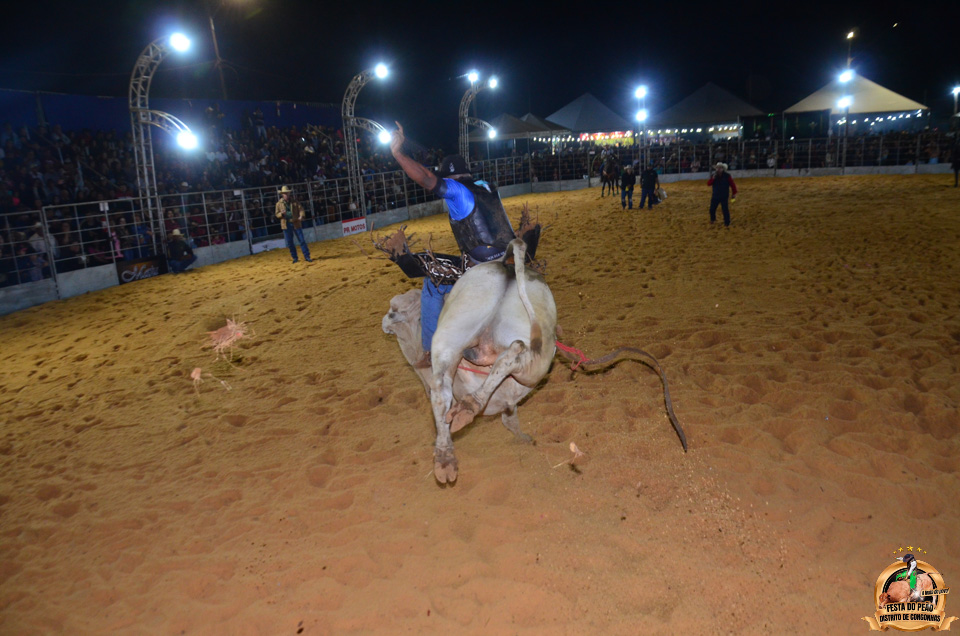 DSC_3455.jpg