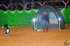 DSC_2913.jpg