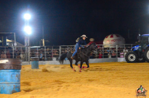 DSC_3272.jpg