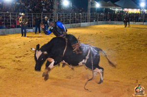 DSC_3389.jpg