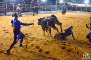 DSC_3399.jpg