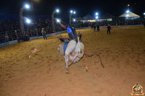 DSC_3455.jpg