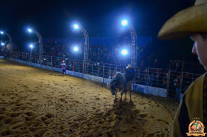 DSC_3464.jpg