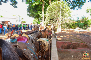 DSC_5021.jpg