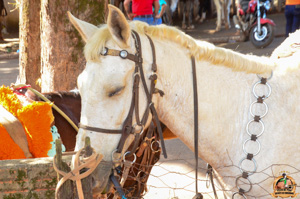 DSC_5026.jpg