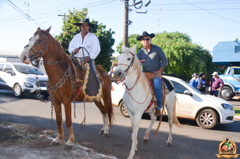 DSC_3854.jpg