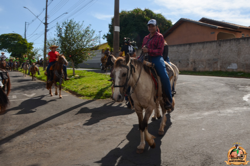 DSC_4282.jpg