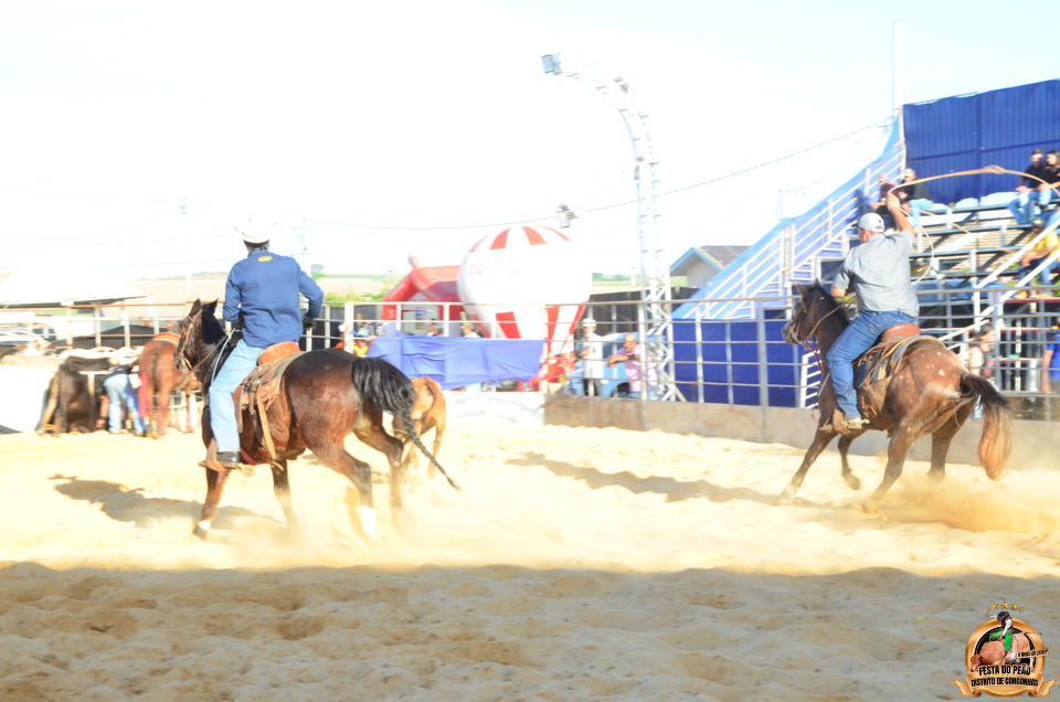 DSC_5141.jpg