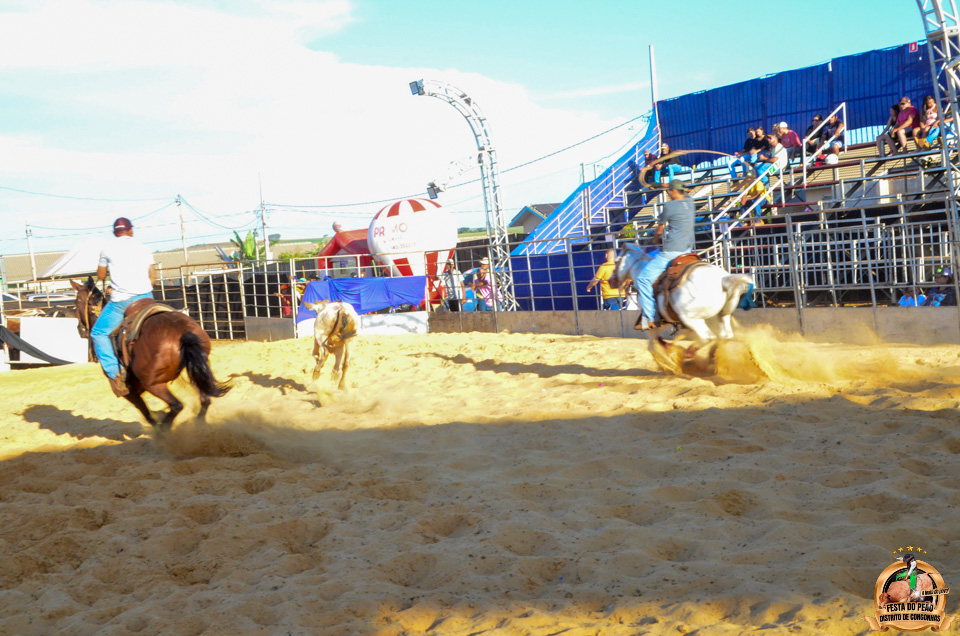 DSC_5145.jpg