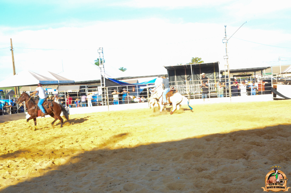 DSC_5146.jpg