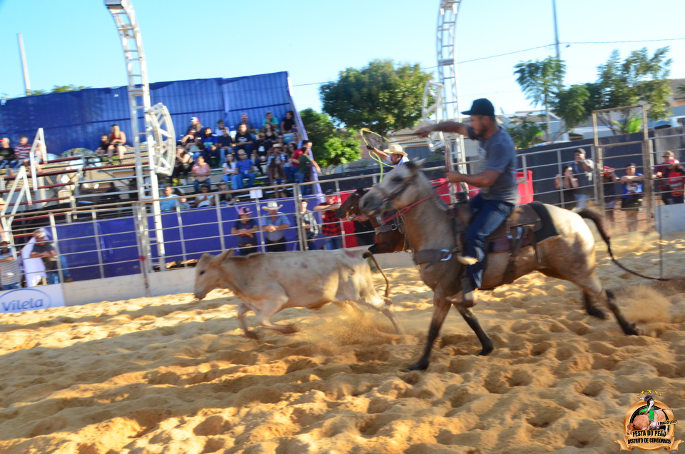 DSC_5147.jpg