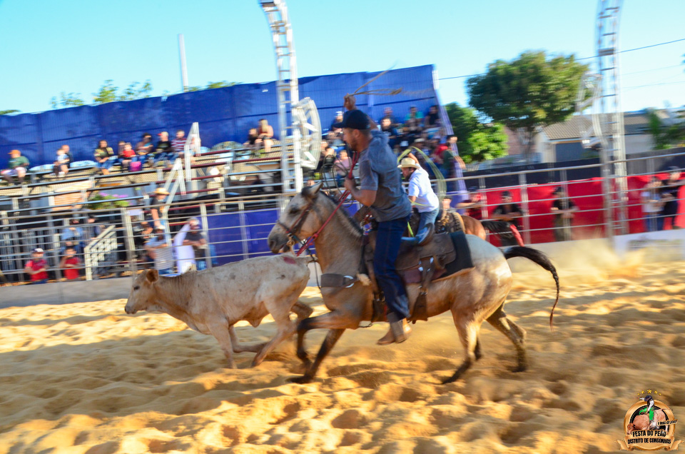 DSC_5148.jpg