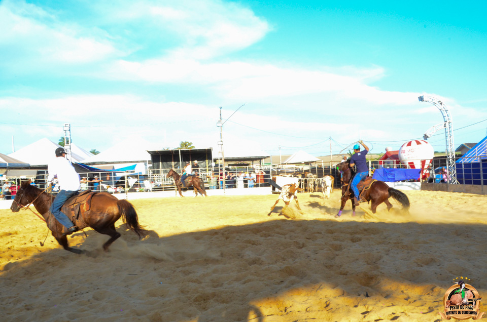 DSC_5152.jpg