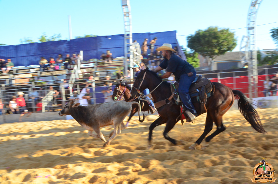 DSC_5167.jpg