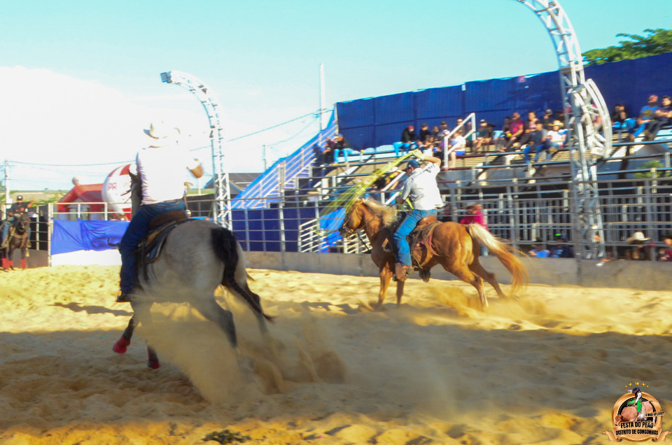 DSC_5169.jpg