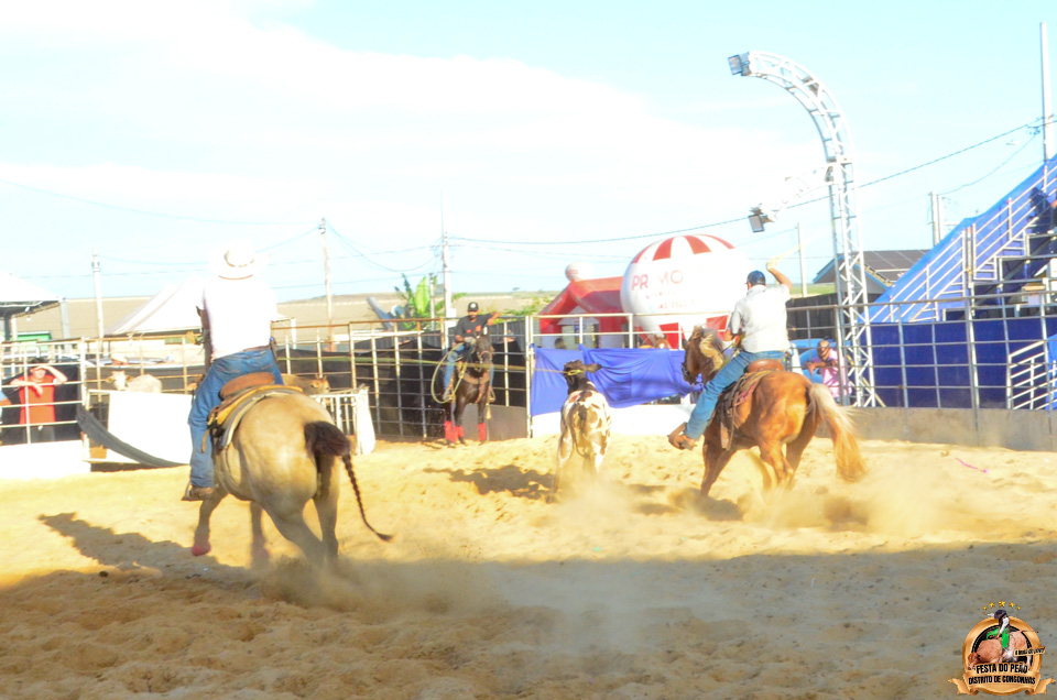DSC_5170.jpg