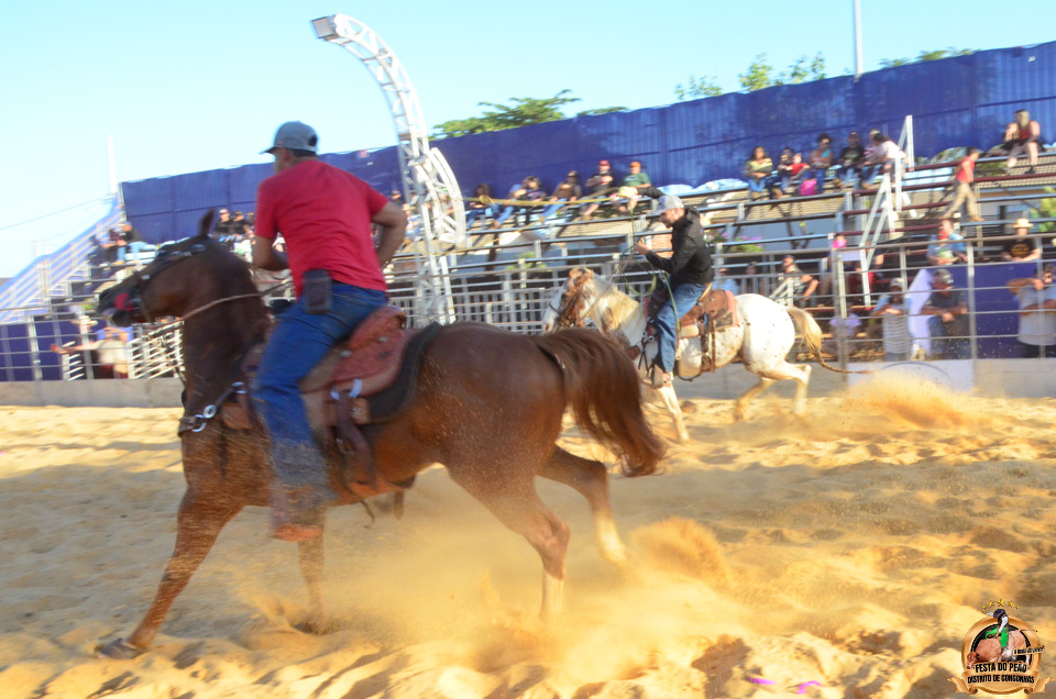 DSC_5177.jpg