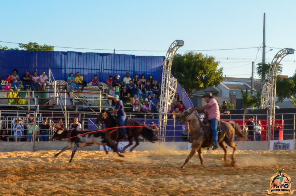 DSC_5245.jpg