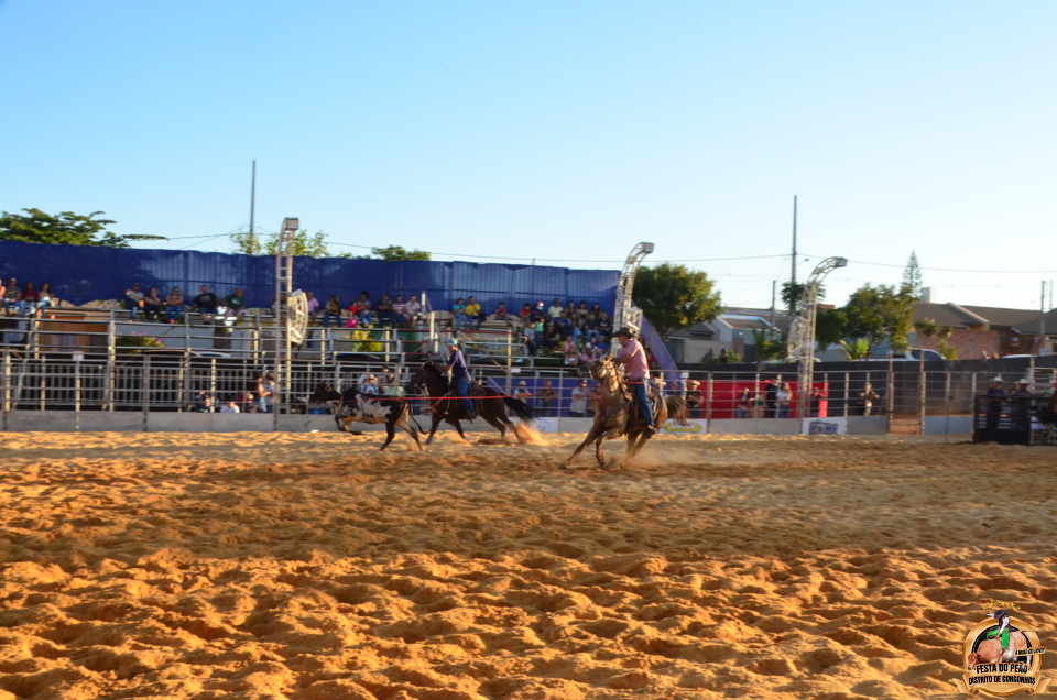 DSC_5246.jpg
