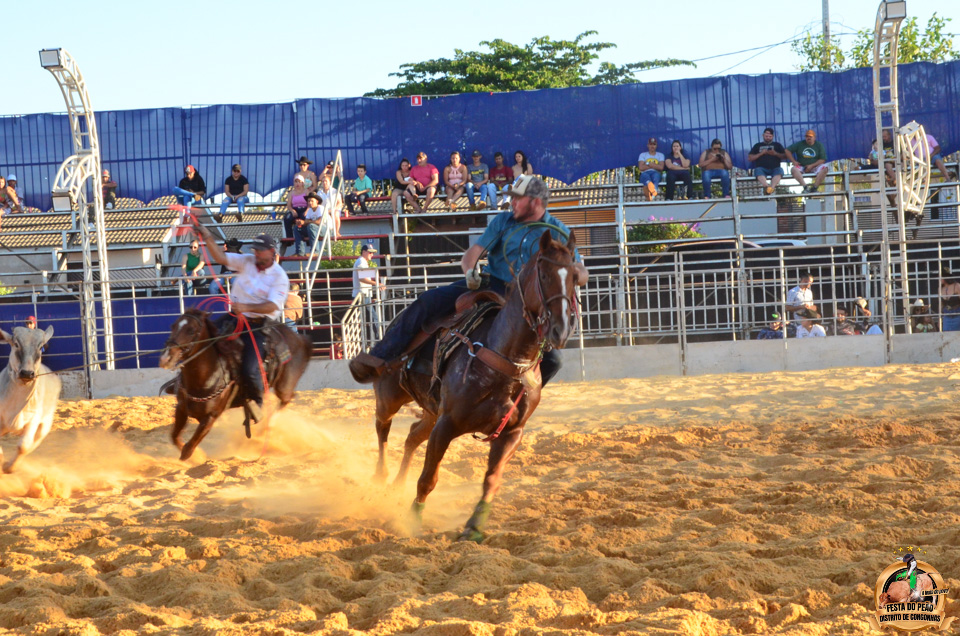 DSC_5254.jpg