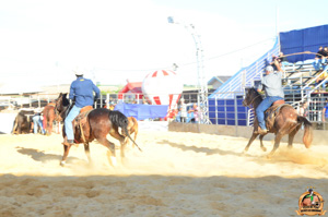 DSC_5141.jpg