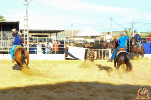 DSC_5143.jpg