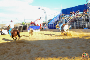 DSC_5145.jpg