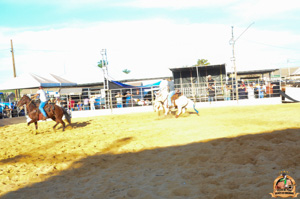 DSC_5146.jpg