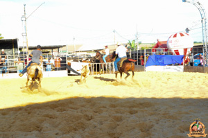 DSC_5150.jpg