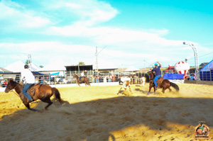 DSC_5152.jpg