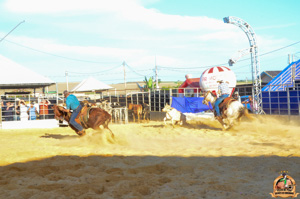 DSC_5161.jpg
