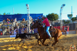 DSC_5164.jpg