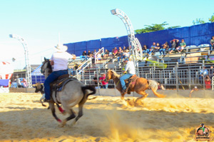 DSC_5168.jpg