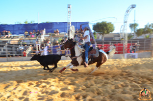 DSC_5175.jpg