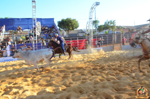 DSC_5176.jpg