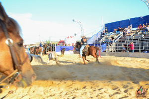 DSC_5184.jpg