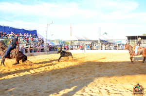 DSC_5190.jpg