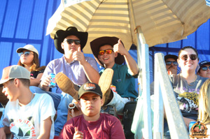 DSC_5203.jpg