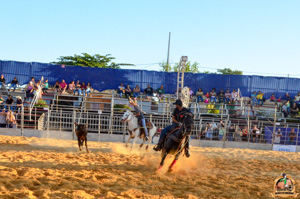 DSC_5242.jpg