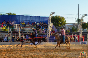 DSC_5245.jpg
