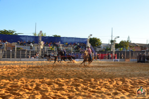 DSC_5246.jpg