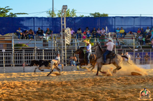 DSC_5249.jpg