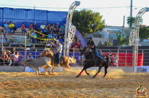 DSC_5251.jpg