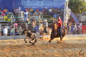 DSC_5255.jpg