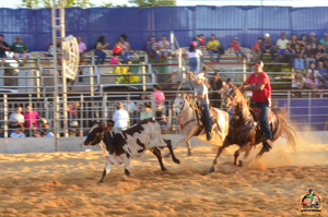 DSC_5256.jpg