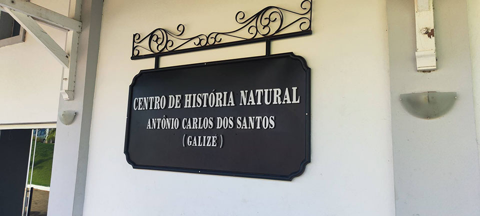 04_maio_Andira_629.jpg