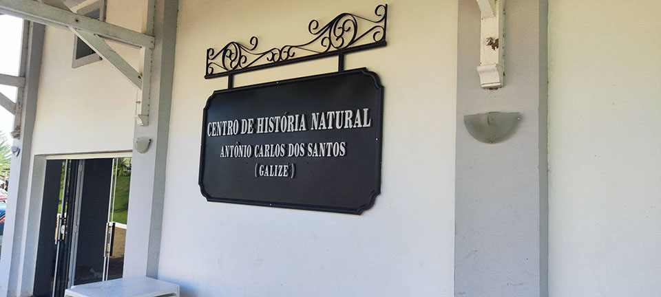 04_maio_Andira_631.jpg