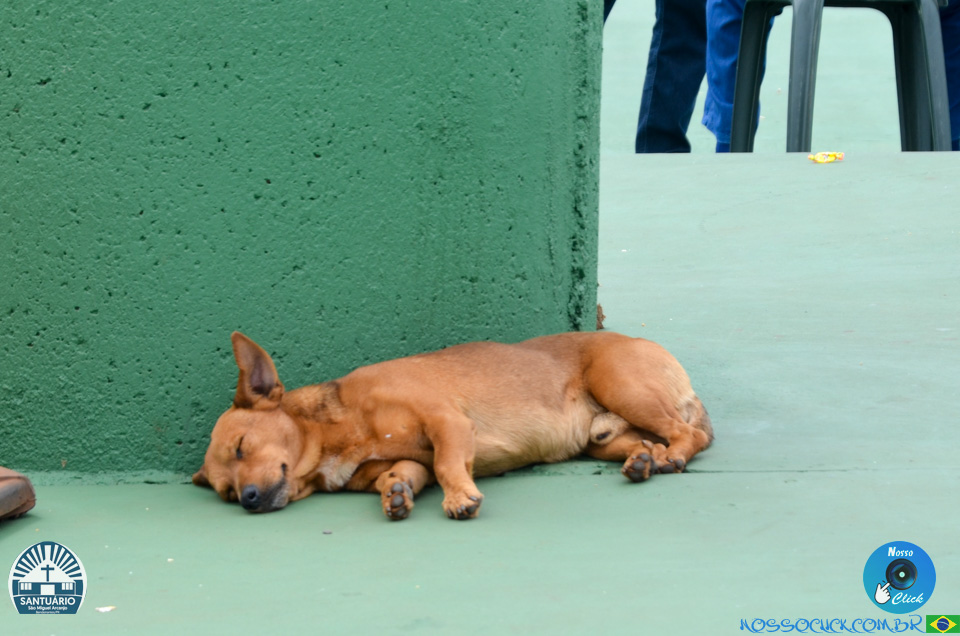 DSC_2189.jpg