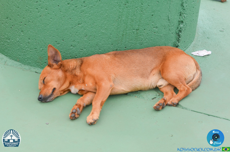 DSC_2190.jpg