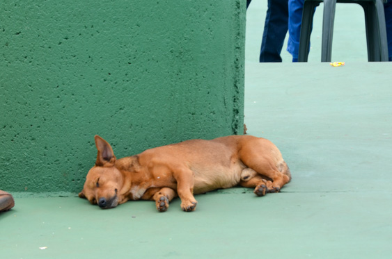 DSC_2189.jpg